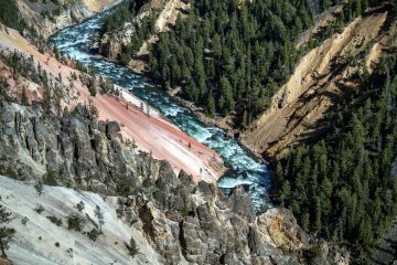 Yellowstone National Park: Ultimate Gu to Geothermal Wonders & Wildlife