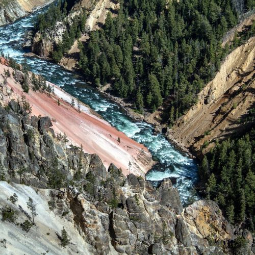 Yellowstone National Park: Ultimate Gu to Geothermal Wonders & Wildlife