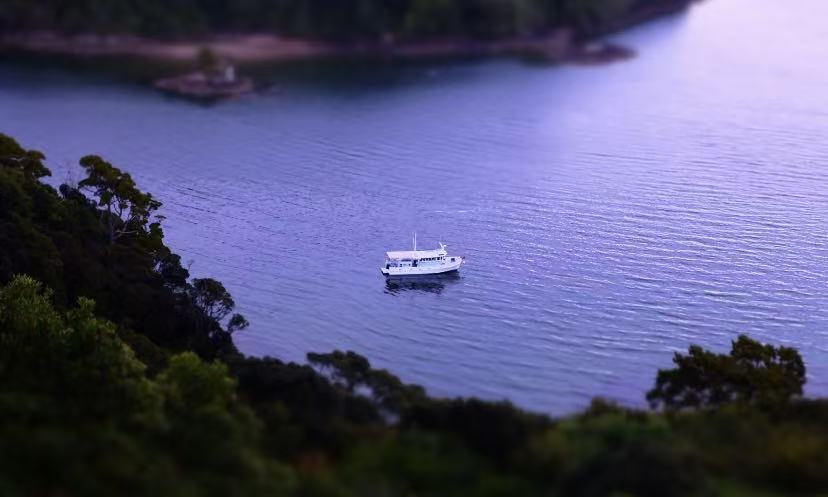 Calm Waters of Stewart Island, New Zealand