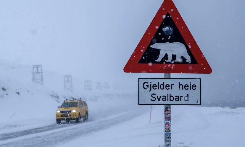 The Polar Signpost: A Gentle Boundary Between Humans and the Wild