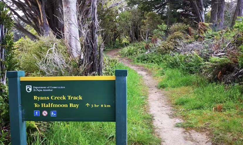 3 Hours, 8km: Exploring Stewart Island’s Trails