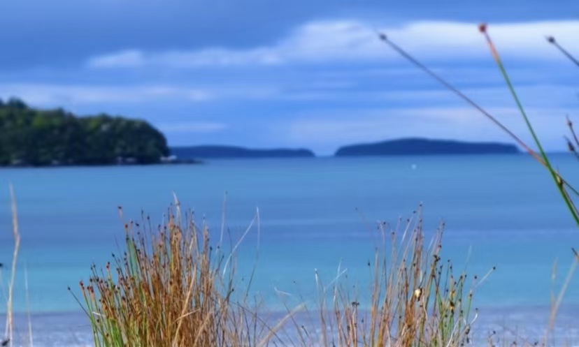 A Quiet Moment on Halfmoon Bay