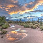 Exploring Saguaro National Park in Tucson, a Desert Treasure