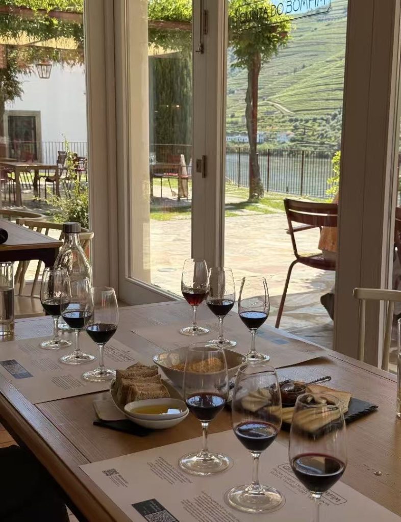 Douro Valley, Portugal Wine Tasting at Quinta do Bomfim Winery