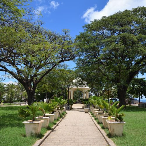 Zanzibar: The Indian Ocean Paradise Full of History and Color