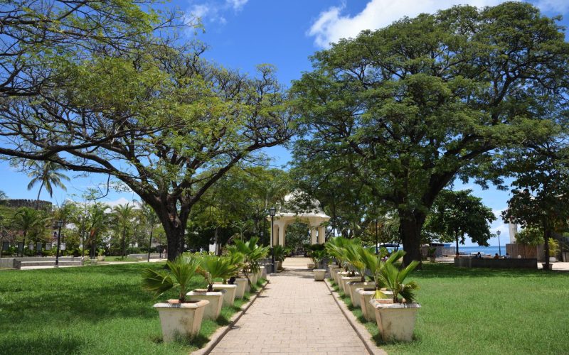Forodhani park, Zanzibar, Tanzania. Africa