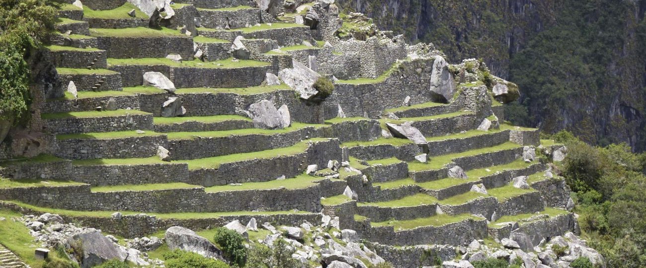 Machu Picchu : Discover the Lost City of the Andes