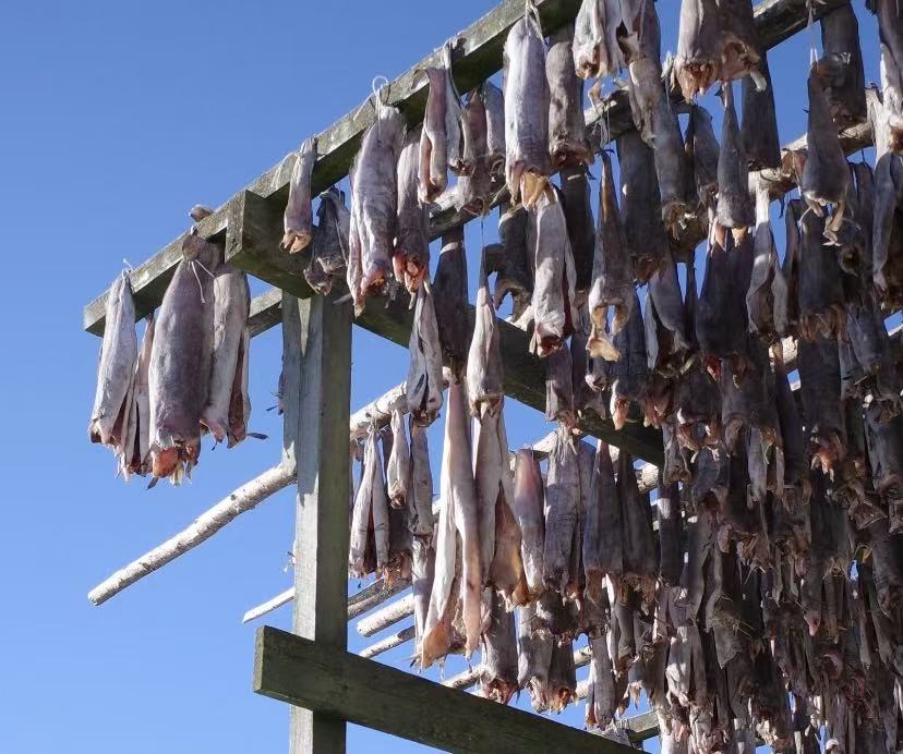 Nordic Stockfish