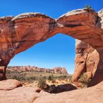 Arches National Park: A Desert Made of Living Stone