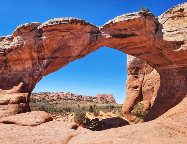 Arches National Park: A Desert Made of Living Stone